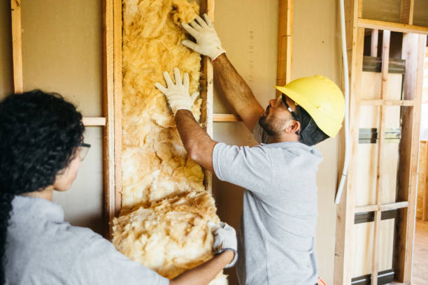 Best Local Insulation Services  in Missouri Valley, IA
