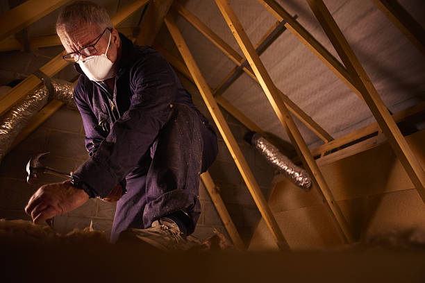 Best Insulation Repair Services  in Missouri Valley, IA